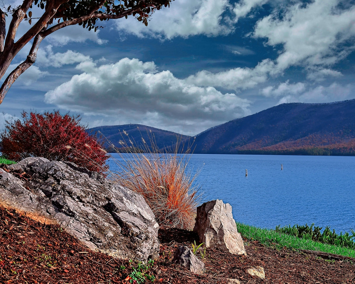 Smith Mountain Lake Nature Photo
