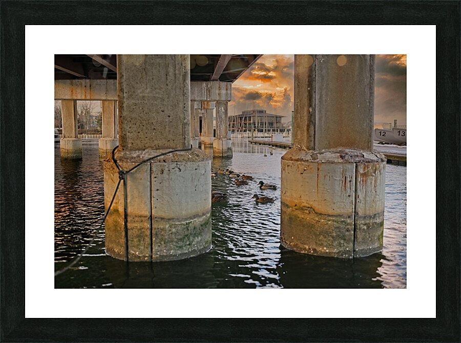 Annapolis Under Bridge