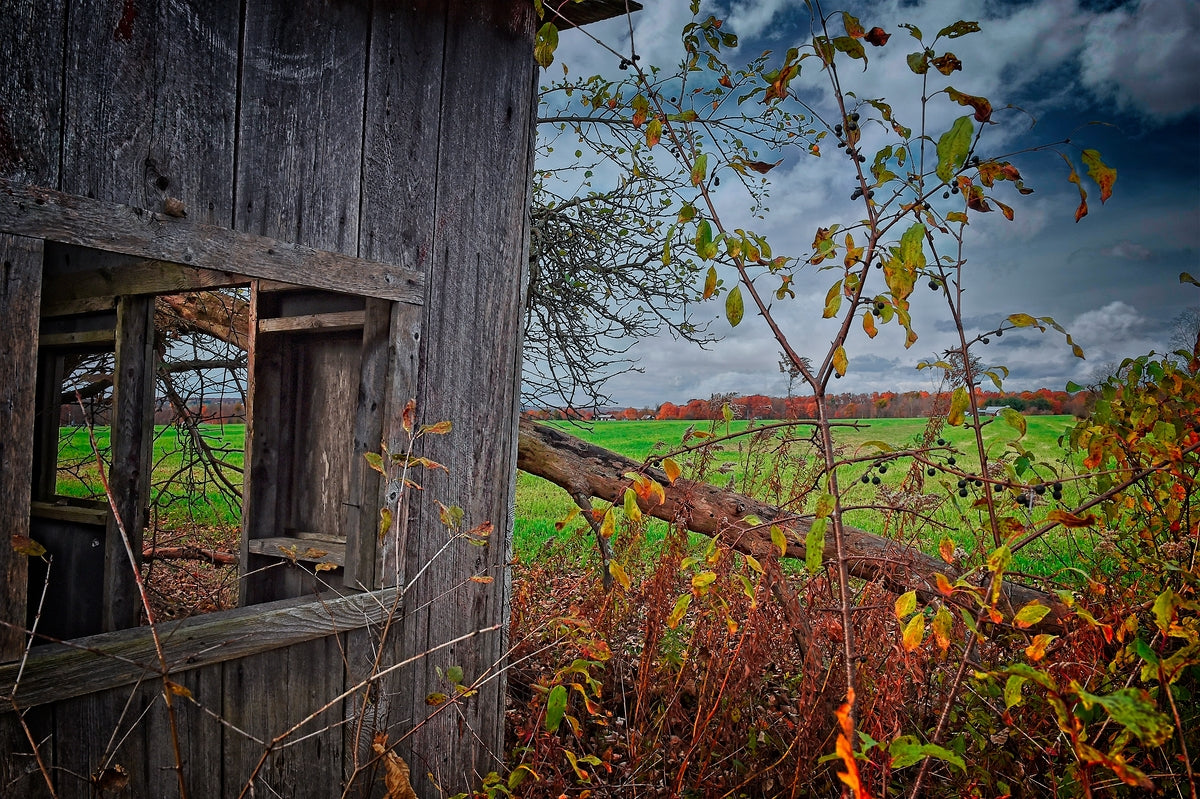 Abandoned Shed Lansing NY Autumn Finger Lakes