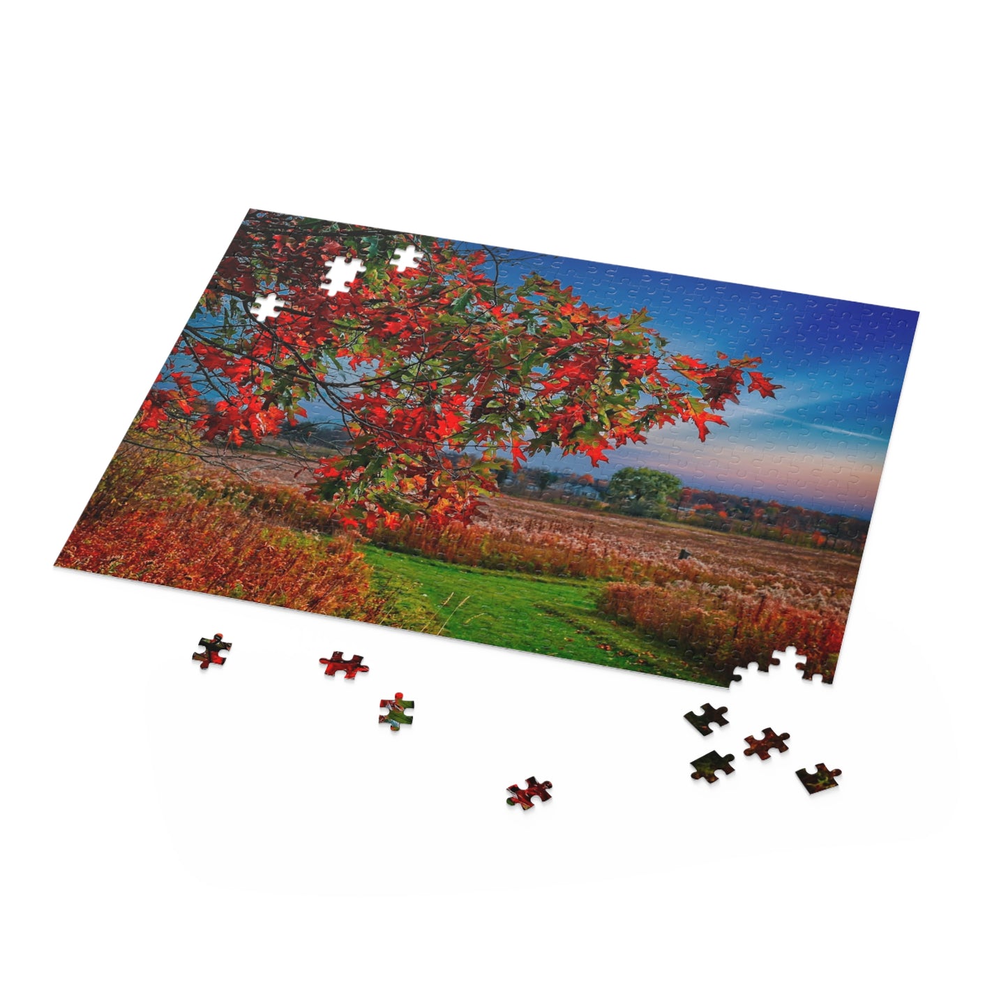 Jigsaw Puzzle, autumn colors Finger Lakes Puzzle, 500-Piece, Fall Landscape Game, Relaxing Activity, Gift for Puzzle Lovers, Thanksgiving