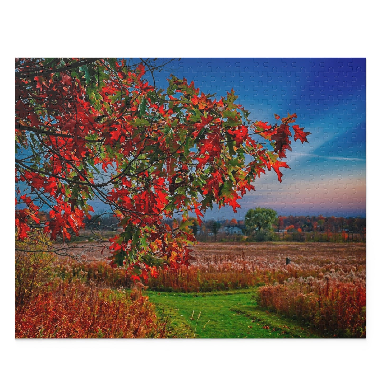 Jigsaw Puzzle, autumn colors Finger Lakes Puzzle, 500-Piece, Fall Landscape Game, Relaxing Activity, Gift for Puzzle Lovers, Thanksgiving