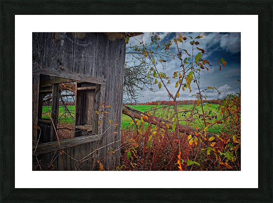 Abandoned Shed Lansing NY Autumn Finger Lakes