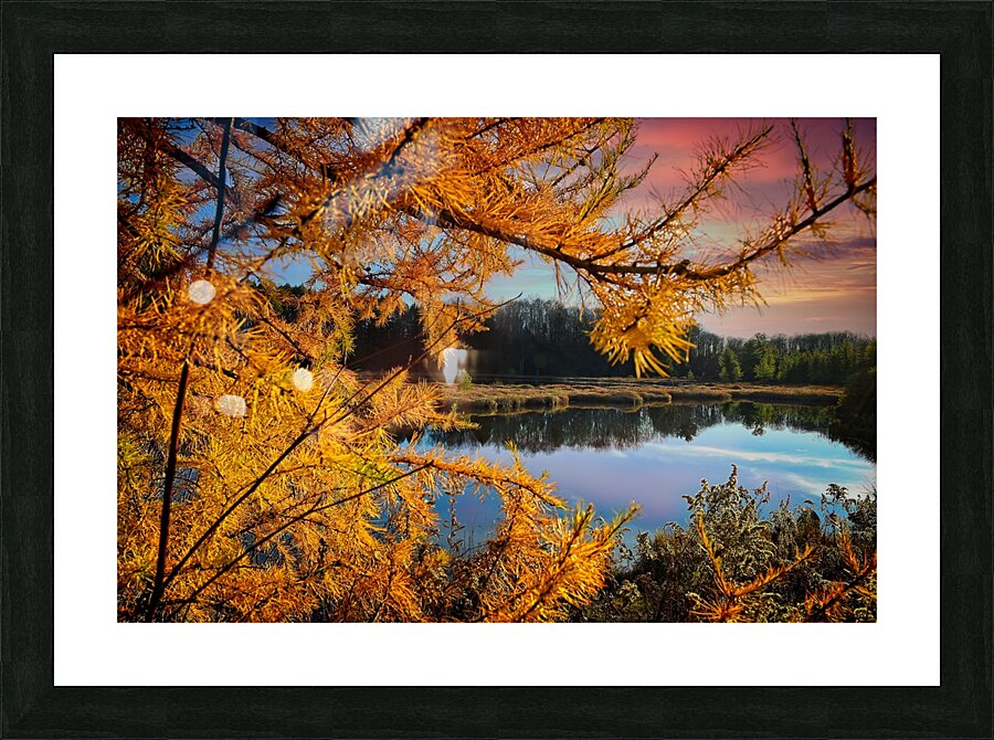 Water Through Autumn Branches Finger Lakes Landscape Fall Print, Lake Decor Artwork