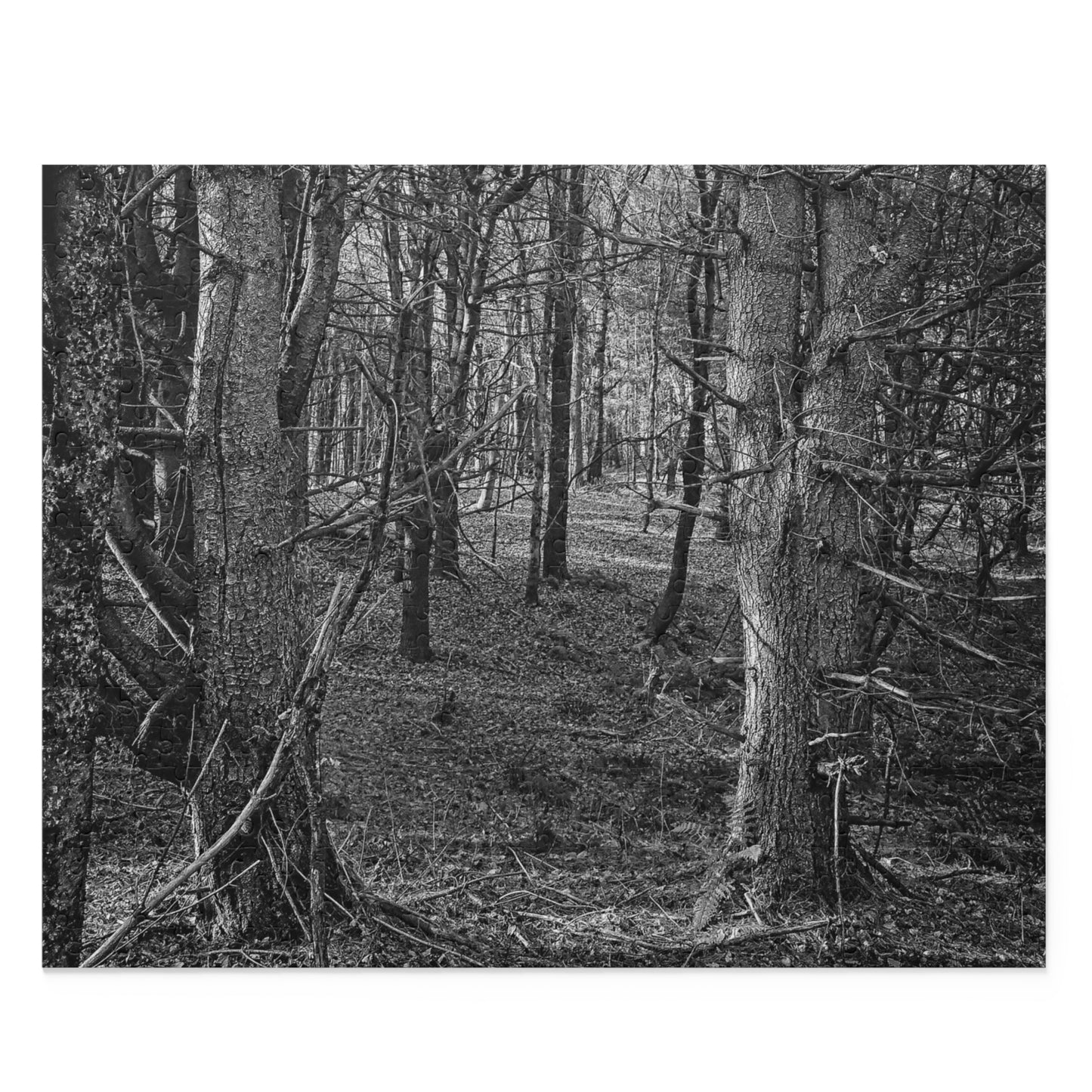 Puzzle, Black and White Nature Trees in Forest (500-Piece), Jigsaw Puzzle, Fun Activity, Relaxing Pastime, Unique Gift Idea, Entertainment