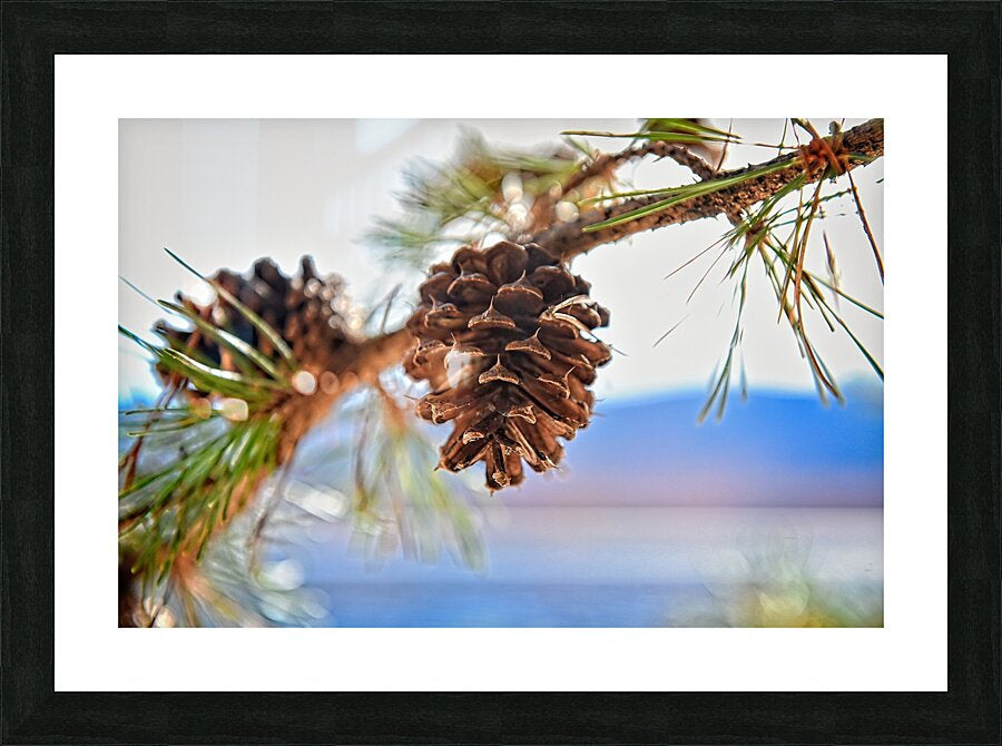 Smith Mountain Lake Pine Cone - Lake Decor, Lake Home Artwork