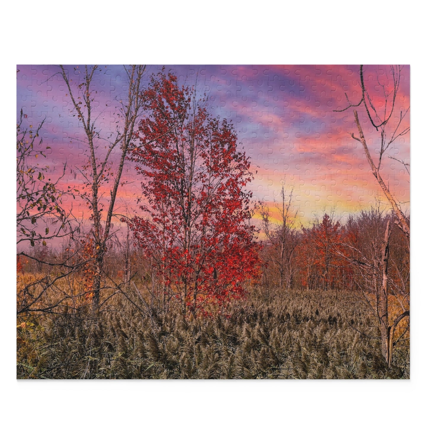 Cedar Bay State Park Syracuse NY Puzzle (500-Piece)