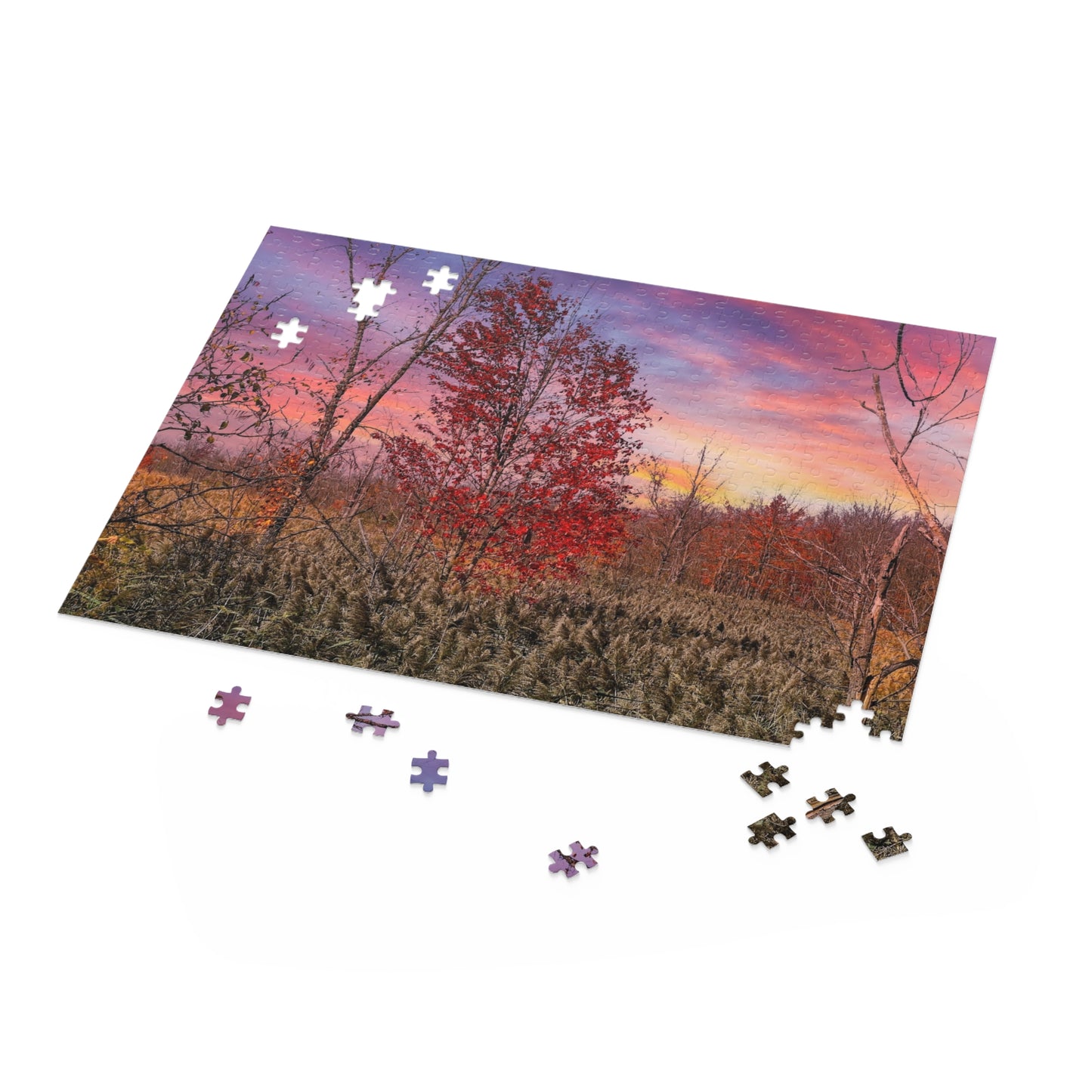 Cedar Bay State Park Syracuse NY Puzzle (500-Piece)