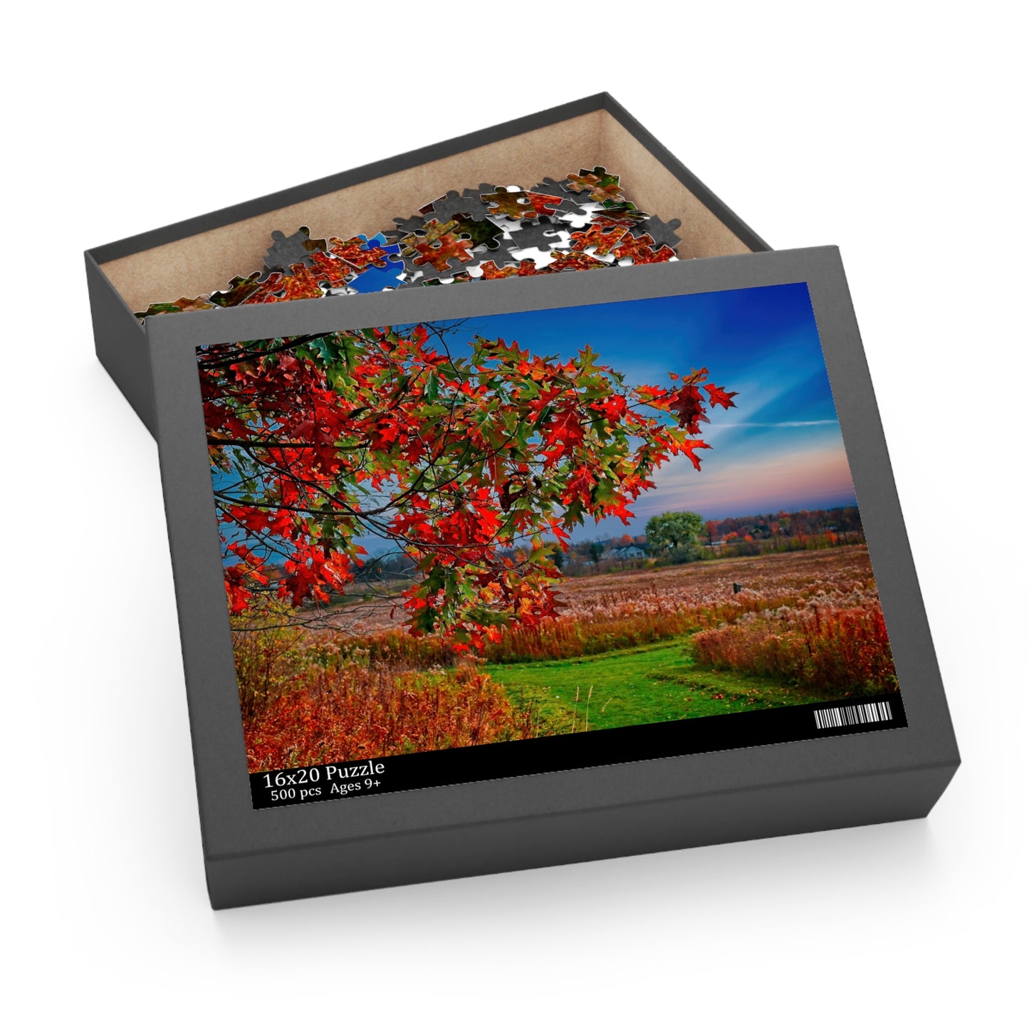 Jigsaw Puzzle, autumn colors Finger Lakes Puzzle, 500-Piece, Fall Landscape Game, Relaxing Activity, Gift for Puzzle Lovers, Thanksgiving