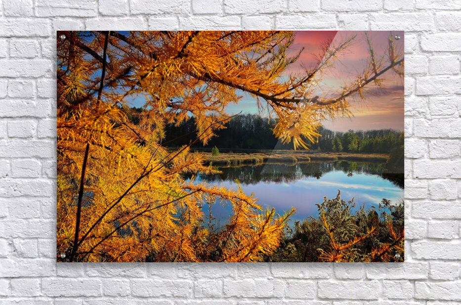 Water Through Autumn Branches Finger Lakes Landscape Fall Print, Lake Decor Artwork