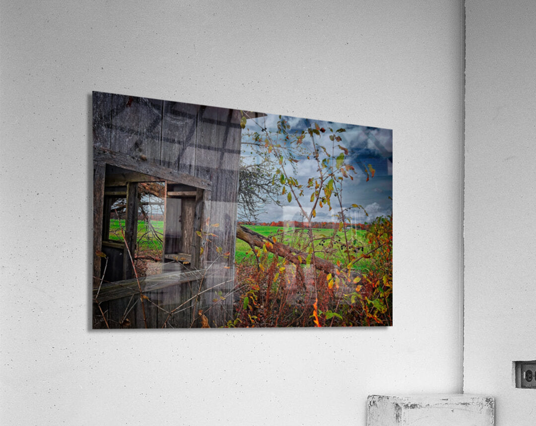 Abandoned Shed Lansing NY Autumn Finger Lakes