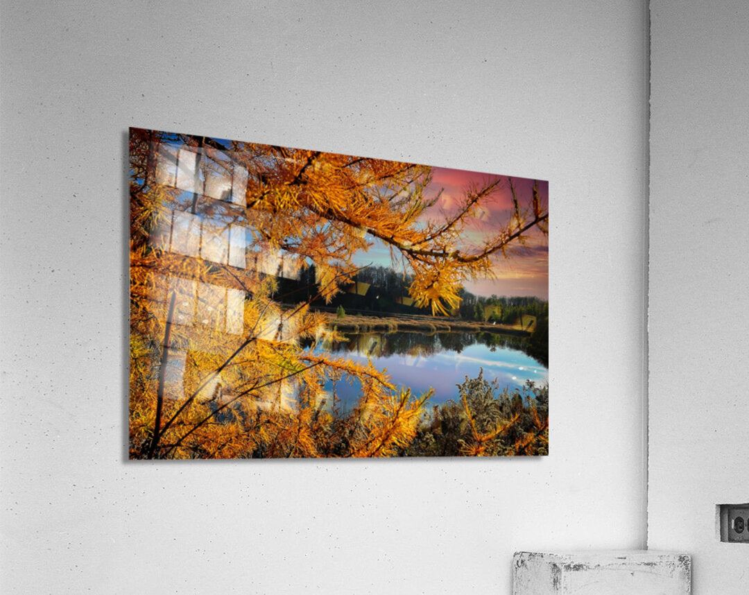 Water Through Autumn Branches Finger Lakes Landscape Fall Print, Lake Decor Artwork