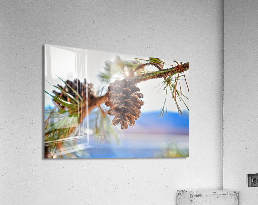 Smith Mountain Lake Pine Cone - Lake Decor, Lake Home Artwork