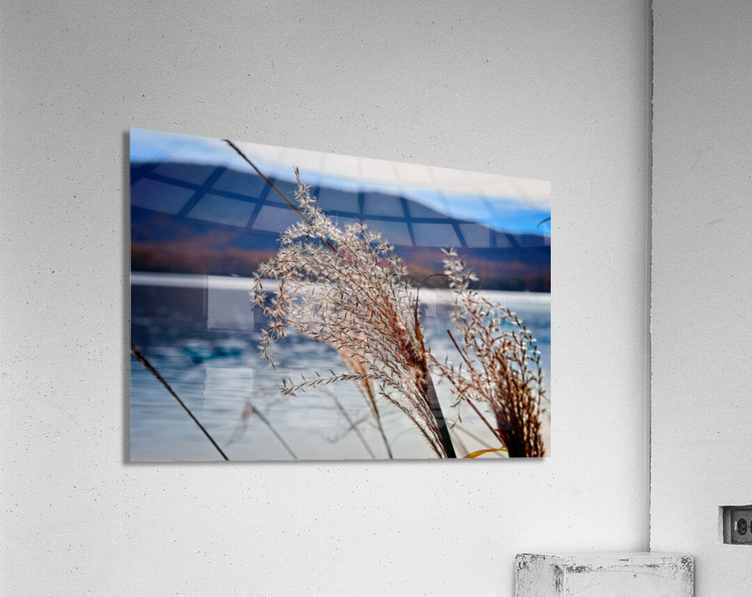 Ornamental Grass Looking Over Smith Mountian Lake, Nature Photography, Lake Photography