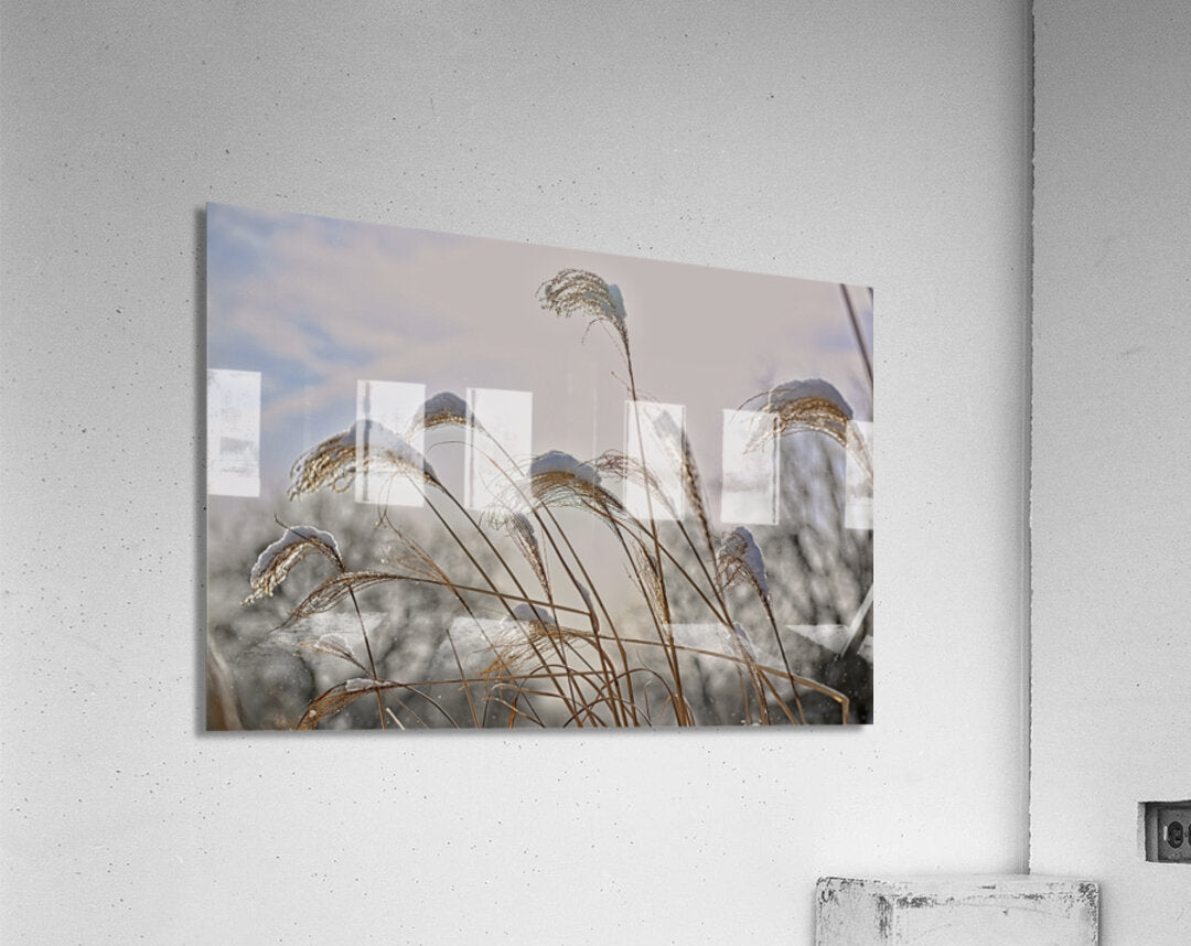 Winter Grass Finger Lakes Artwork