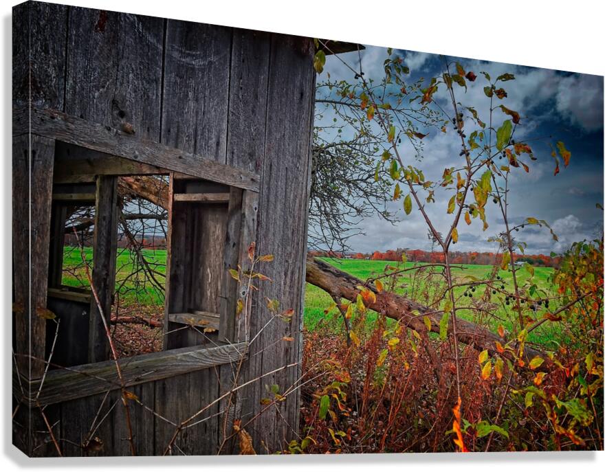 Abandoned Shed Lansing NY Autumn Finger Lakes