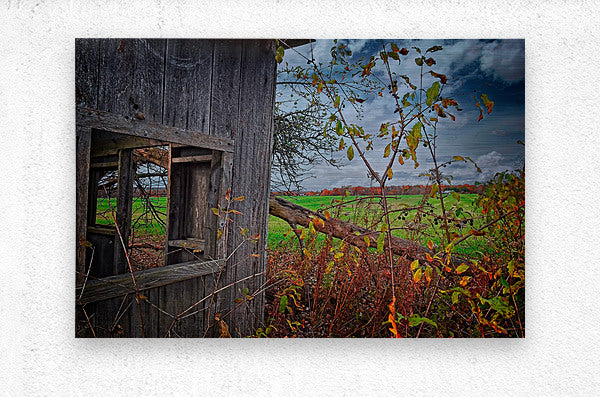 Abandoned Shed Lansing NY Autumn Finger Lakes