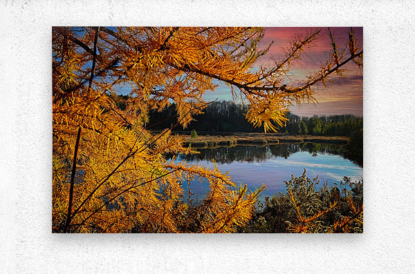 Water Through Autumn Branches Finger Lakes Landscape Fall Print, Lake Decor Artwork