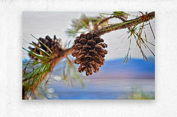 Smith Mountain Lake Pine Cone - Lake Decor, Lake Home Artwork