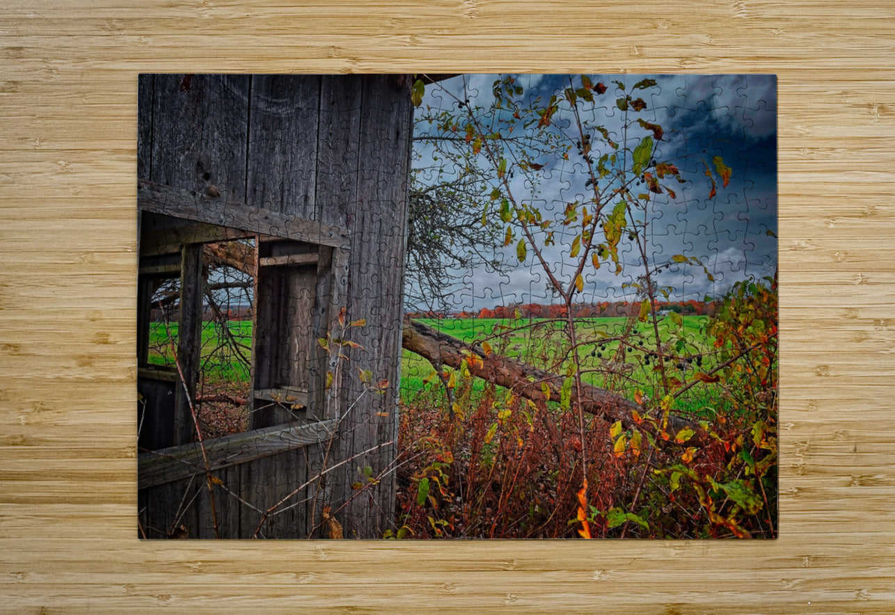 Abandoned Shed Lansing NY Autumn Finger Lakes