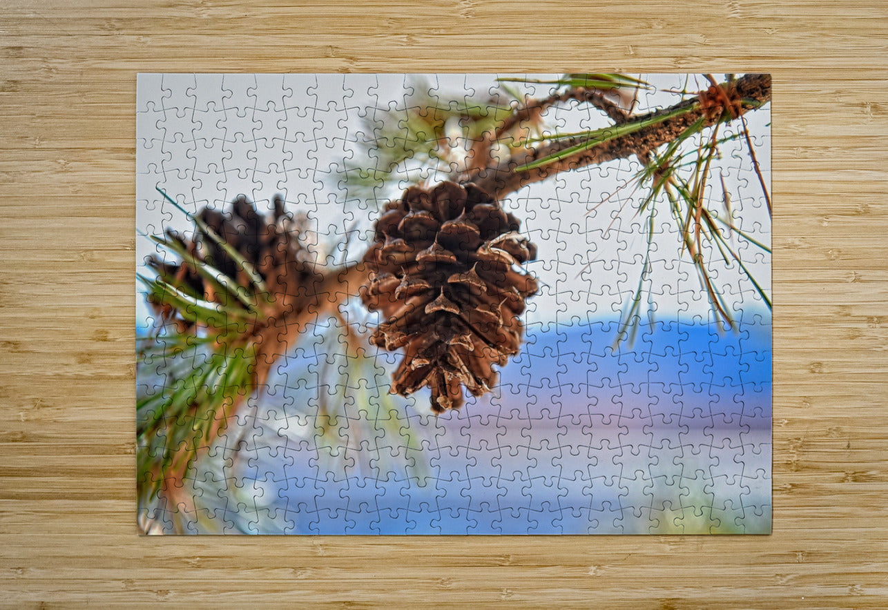 Smith Mountain Lake Pine Cone - Lake Decor, Lake Home Artwork