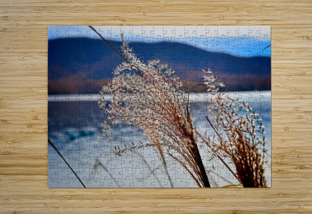 Ornamental Grass Looking Over Smith Mountian Lake, Nature Photography, Lake Photography