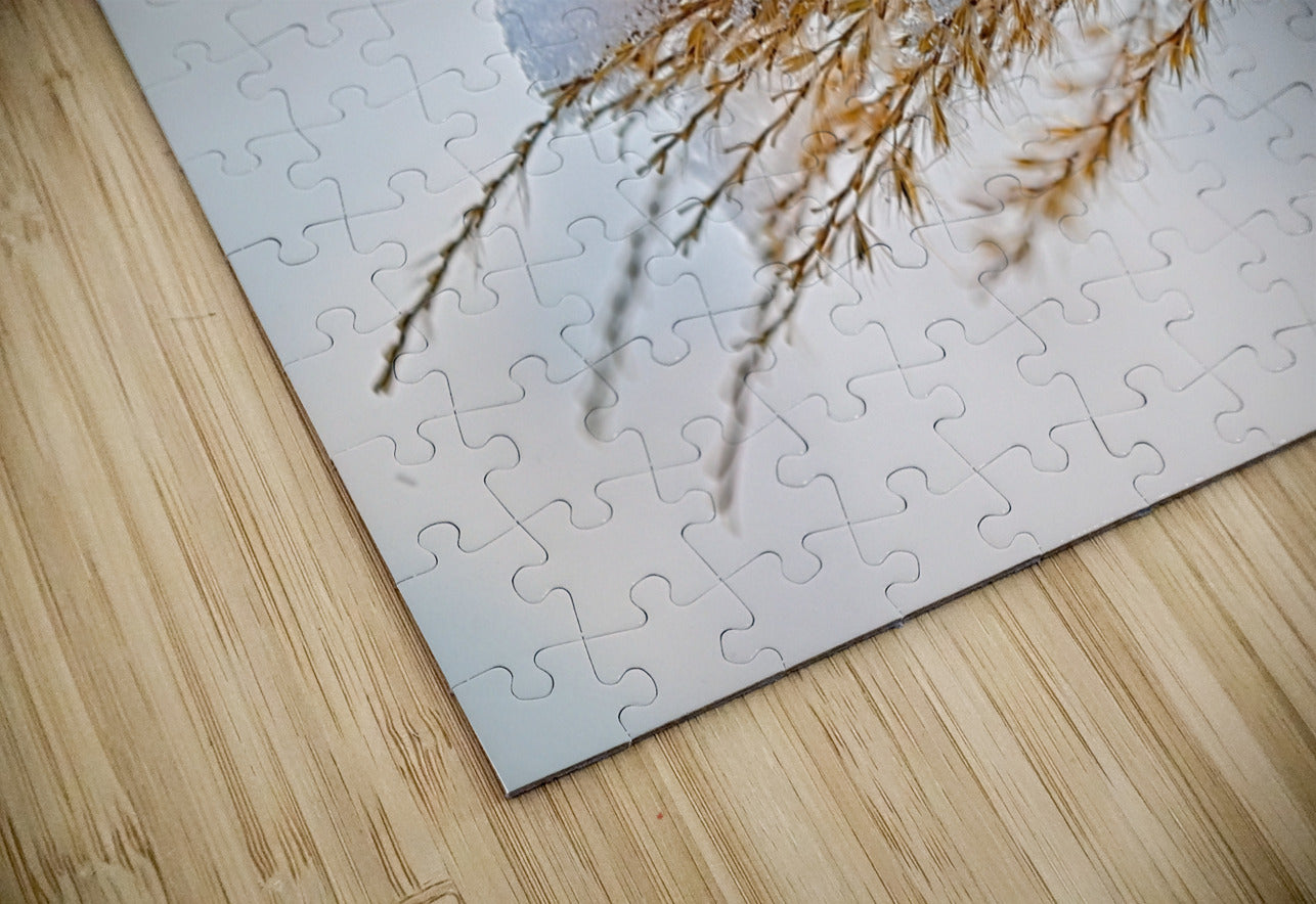 Winter Grass Glistening With Snow - Finger Lakes Artwork