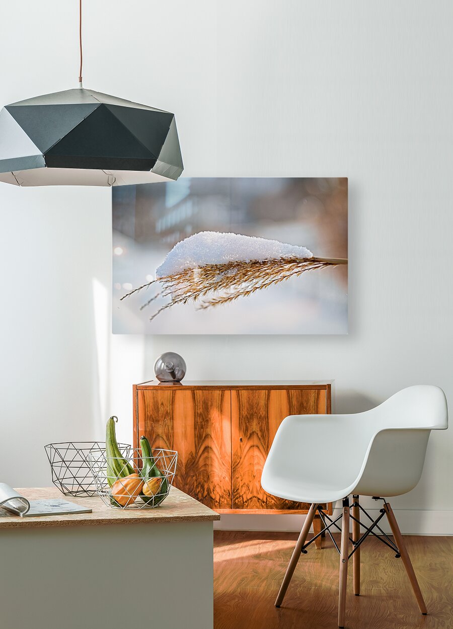 Winter Grass Glistening With Snow - Finger Lakes Artwork