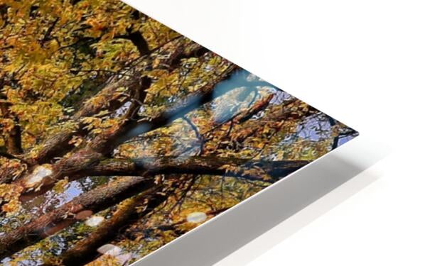 HD Sublimation Metal Print