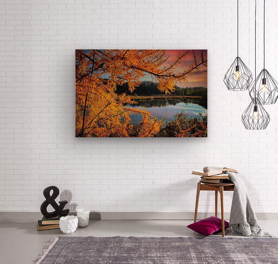 Water Through Autumn Branches Finger Lakes Landscape Fall Print, Lake Decor Artwork